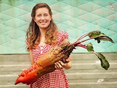 Mammoth Red Mangel Beet Seeds for Planting - 50 Seeds - Big Bodacious Beets