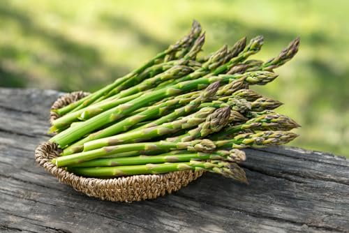 10 Live Asparagus Bare Root Plants - 2yr Crowns