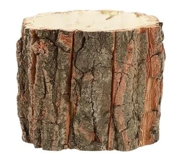 Tree Bark 3 Inch Containers, Wedding, Christmas or Holiday Decor and Crafts