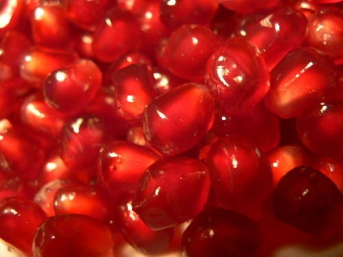 25 POMEGRANATE FRUIT TREE Punica Granatum Red Seeds