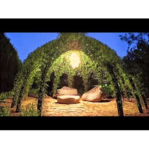 Grow a Willow Structure - 10 Willow Trees - Video Tutorial Included