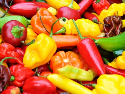 Big Pack of Hot Pepper Seeds - 4 Types - Jalapeno Pepper, Habenero Pepper, Long Cayenne Red Pepper and Anaheim Chilli - 100 Seeds of Each Type to Grow