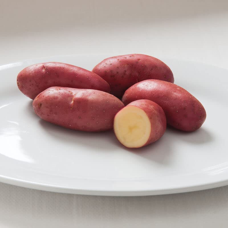 French Fingerling Seed Potatos for Planting