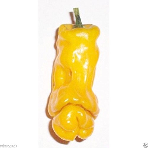 Peter Pepper Seed,Yellow,a.k.a.The Peter Pepper or Penis Pepper,Capsicum annuum.(25 Seeds)