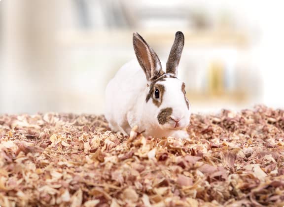 Red Cedar Pet Bedding for Rabbits, Dogs, Cats, Chinchilla - All Natural Cozy Pet Bedding