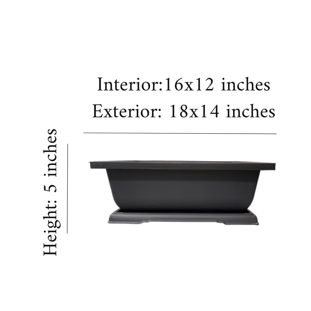 CZ Grain Giant 18 Inch Bonsai Pot and Drip Tray - Biggest Bonsai Display Pot on The Internet