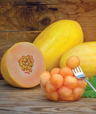Mango Seed - 50 Seeds - Made in USA, Ships from Iowa.