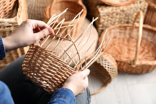 Basket Willow Cuttings to Grow - Used to Make Willow Basket Weaving or Willow Fence- Salix viminalis, Osier Willow