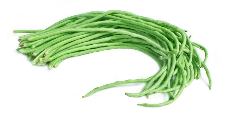 10 Yard Long Bean Seeds - Asian Vegetable Long Bean String Bean - Productive Yielder