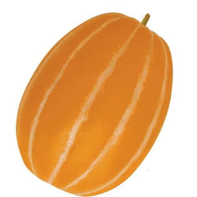10 Korean Melon Seeds - Rare Orange Skinned Melon - Dae Jang Geum