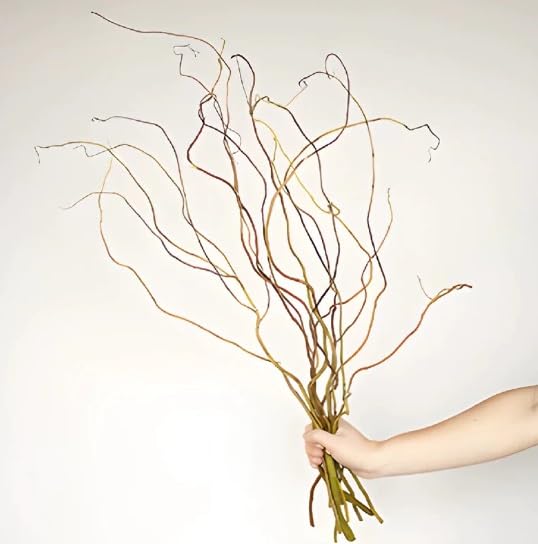 Natural Curly Willow Branches for Decor, 1-2 Feet Long - Wedding or Christmas Decor, Wreathmaking