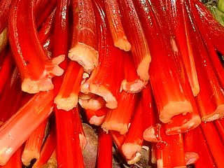 25 VICTORIA RHUBARB (Pieplant) Rheum Rhabarbarum Fruit Vegetable Seeds