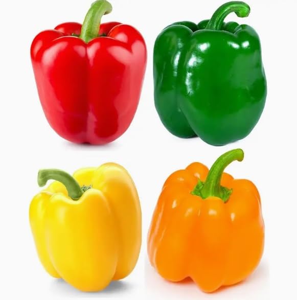 30 Bell Pepper Seeds to Grow