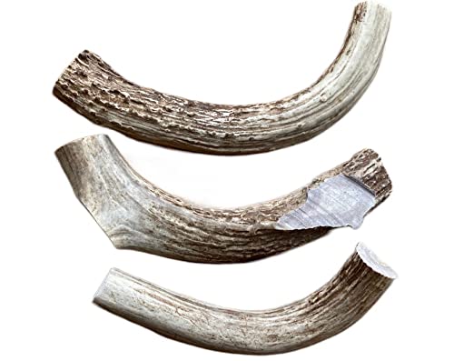 CZ Grain Easy Chews - 3 Pack Sliced JUMBO Deer Antler for Old Dogs or Puppies, Sliced for Easy Marrow Access - Long Lasting