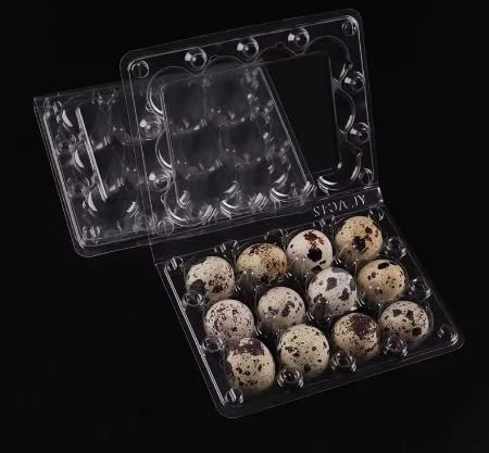 100 Pcs Quail Egg Cartons - Twelve 12 Count Small Quail Eggs Basket, Pigeon Eggs, Bulk Carton Quail Egg Tray Container for Refrigerator