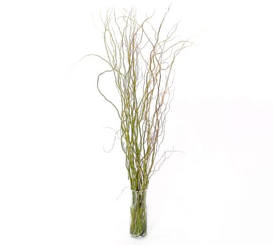 32 Natural Curly Willow Branch Tips - Great for Decoration, Vase Filler, Wedding or Event Decor - Approx. 3 Foot Tall