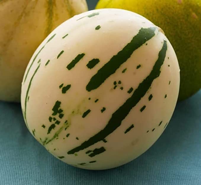 10 White and Green Melon Seeds | Very Rare - Ships from Iowa, USA