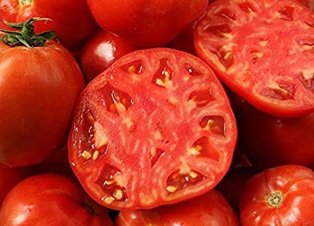 Fruit and Vegetable Garden Seed Kit | 50+ Seeds each Watermelon, Cantelope, Tomato, Broccoli, and Cauliflower | Fruit and Vegetable Seeds for Planting