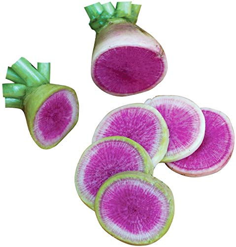 Exotic Radish Watermelon Seeds for Planting - 250+ Seeds - Rare Garden Vegetable Seeds