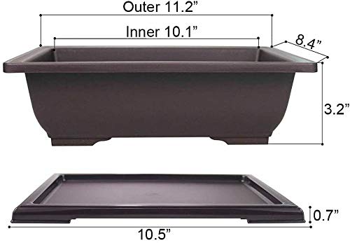 Rectangle Planter 11" Bonsai Pot and Drip Tray