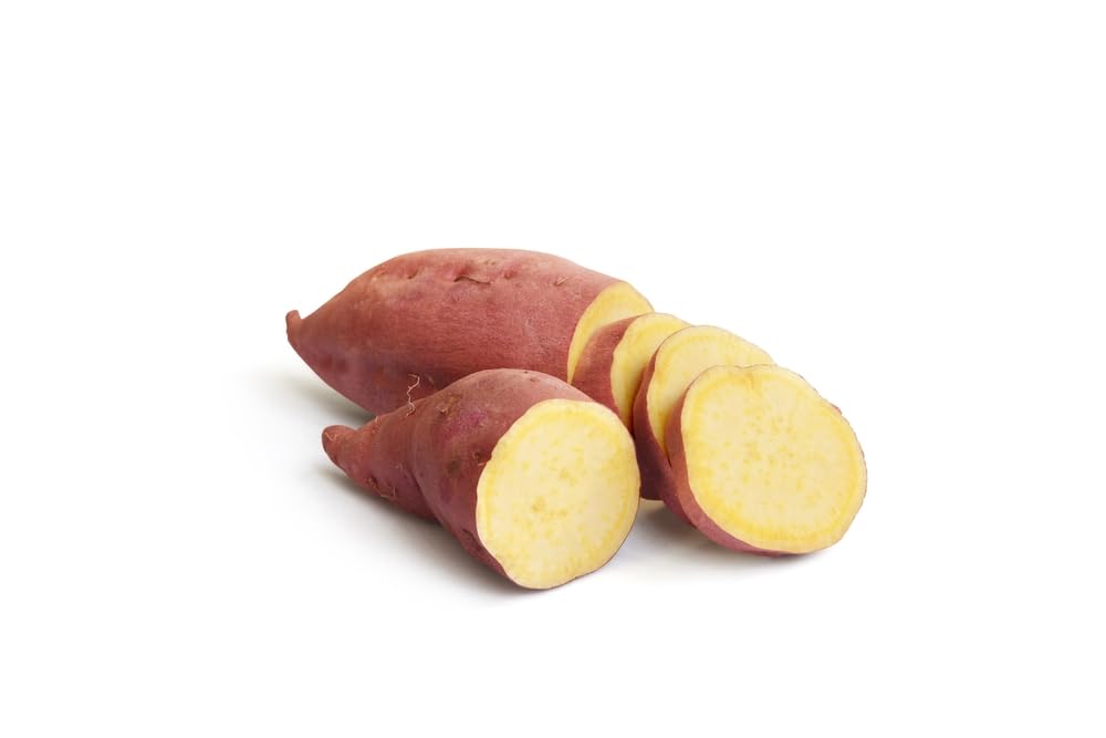 10 Japanese Sweet Potato Slips for Planting - Yellow Murasaki Sweet Potato Slips - Grow Your Own Sweet Potatos (10 Slips)