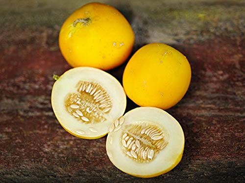 Mango Seeds (Vine Peach) 25 Seeds - Made in USA, Ships from Iowa.