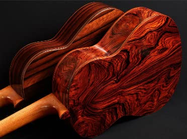 Cocobolo Tree Seeds for Planting - Highly Desired Lumber for Fine Woodwork (20 Seeds)