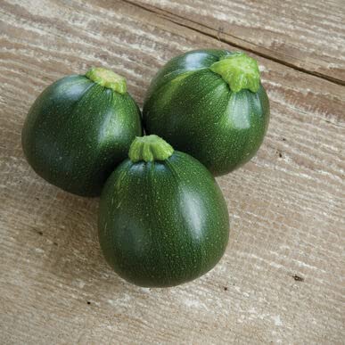8 Ball Squash Seeds for Planting (10 Seeds) - Exotic Pool Ball Sized Edible Squash