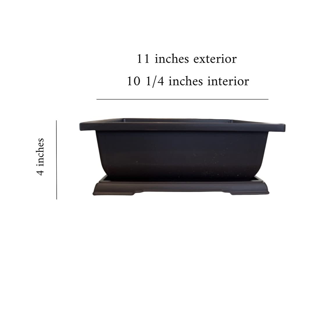3 Bonsai Tree Pots with Drip Tray. XL 11 inch pots with drain hole. Great Gift