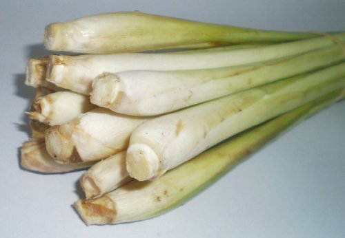 Lemon Grass Seeds - Cymbopogon Flexuosus - .04 Grams - Approx 100 Gardening Seeds - Herb Garden Seed