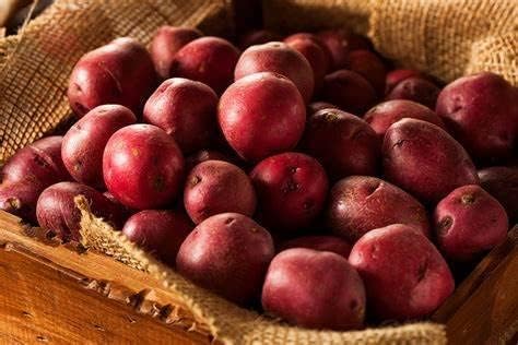 Red Pontiac Seed Potatos for Planting (10 Pounds)