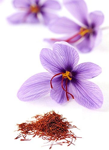 30 Saffron Crocus Bulbs--fall Blooming, Grow Your Own Saffron Spice! Plant now for Fall Blooms!