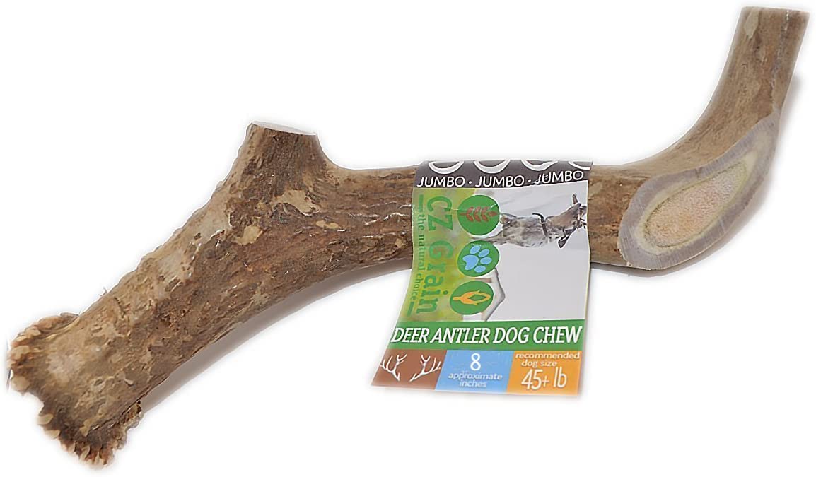 CZ Grain XXL JUMBO Deer Antler for Dogs, for The BIG CHEWER - Premium Grade A Deer Antler Dog Chew - Long Lasting Dog Treat for Your Pet. MADE in USA