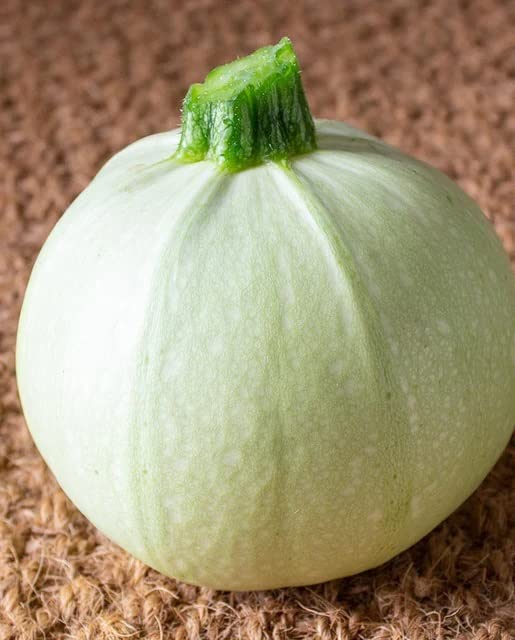 Cue Ball Squash Seeds for Planting (10 Seeds) - Big Yield of Pool Ball Size Squash
