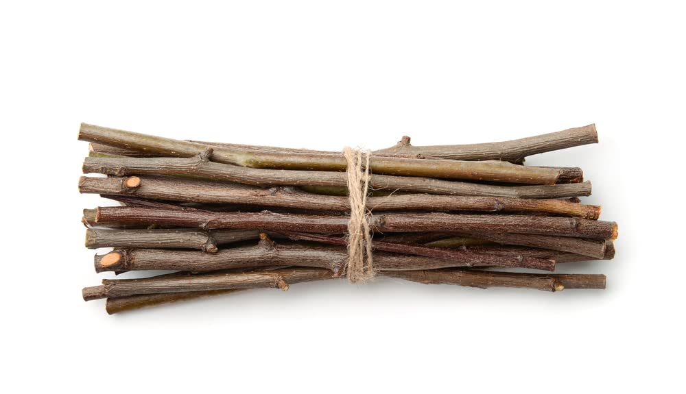 CZ Grain Willow Mega Munch Sticks for Rabbits Chinchilla Guinea Pigs - 20+ Sticks - Small Animal Treat Chew Toys