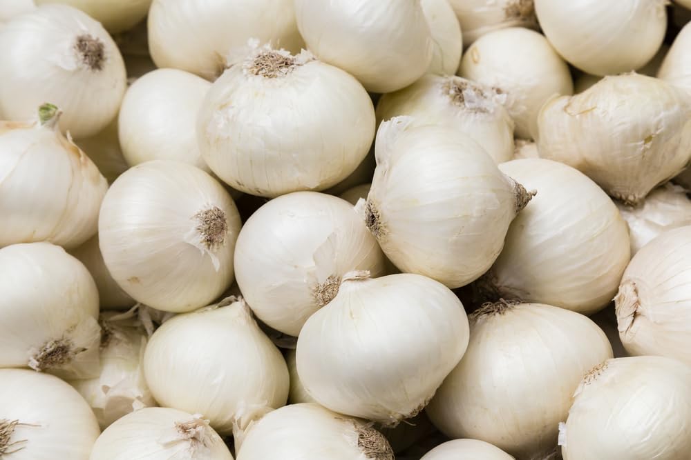 White Onion Sets for Planting - Easy to Grow Vegetables