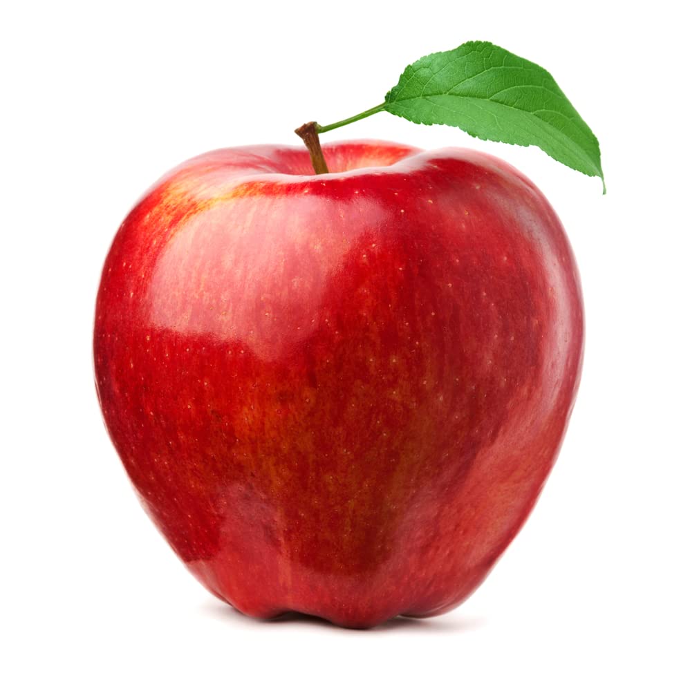 Amazing Andrea Apple Tree Seeds - 20 Seeds -Grow Fresh Apples