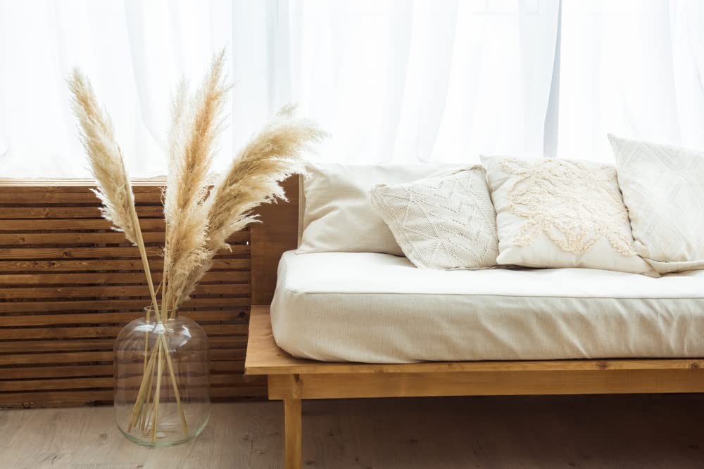 3 Foot Tall Real Pampas Grass Tops - 20 Pieces - Ships from Iowa, USA