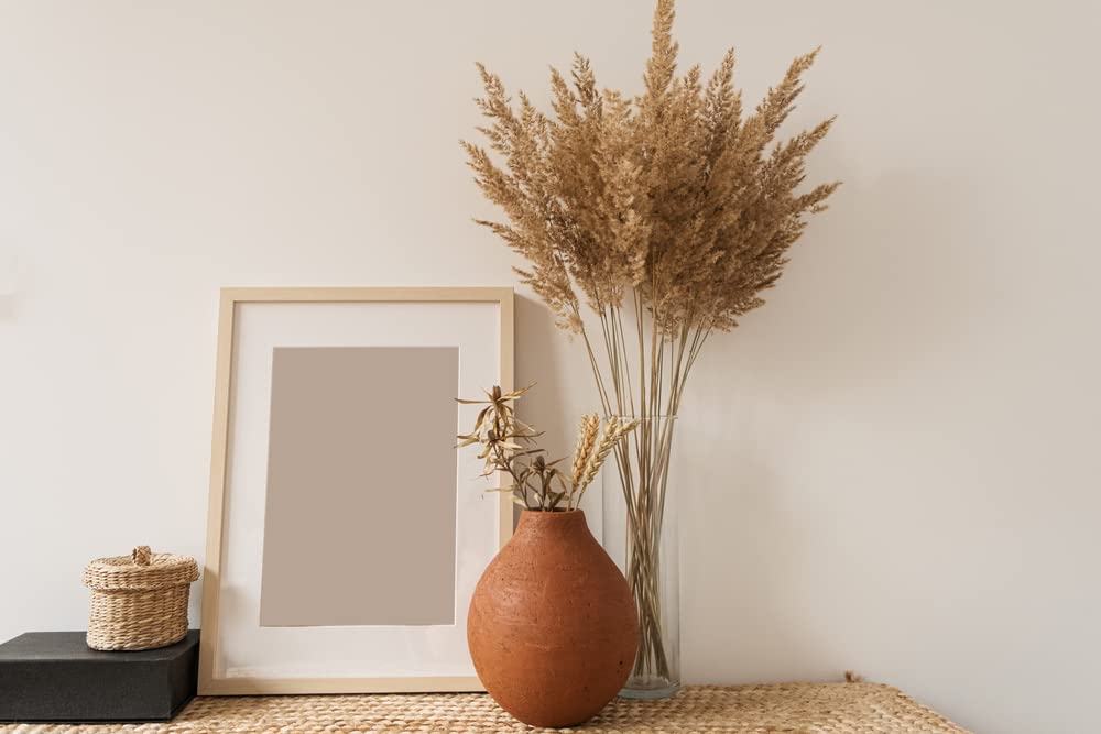 Natural Pampas Grass Stalks, 4 Feet Tall - 100% All Natural, Grown and Shipped from Iowa, USA. - Vase Filler, Wedding Decoration