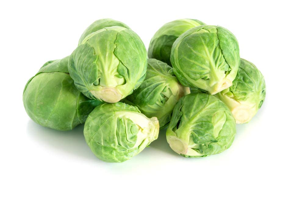 Brussel Sprouts Seeds | 250+ Seeds | Grow Your Own Food | Long Island Brussel Sprouts,