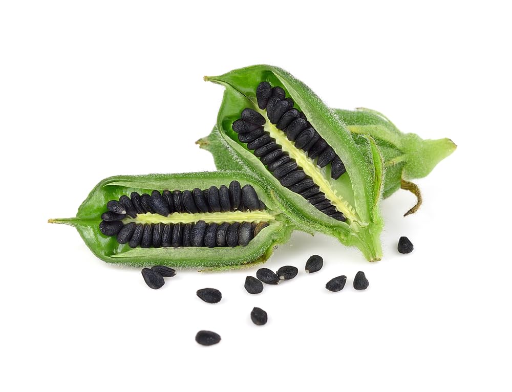 Black Sesame Seeds for Planting - Kurogoma (500 Seeds)
