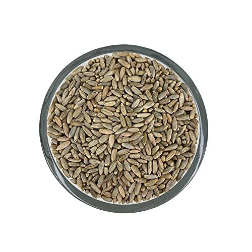 Executive Deals All Natural Rye Berries, Non-GMO & USDA Certified - 10 Pounds (Double-Sealed)