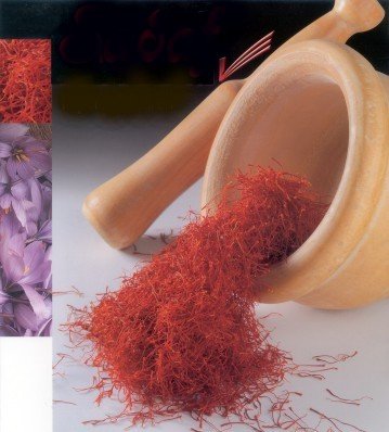 Saffron Crocus 10 Bulbs + Saffron Bulb Food - Crocus Sativus -Immediate Shipping