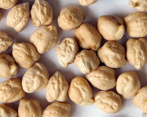 Garbanzo Bean Seeds for Planting - Grow Chickpeas, Make Hummus
