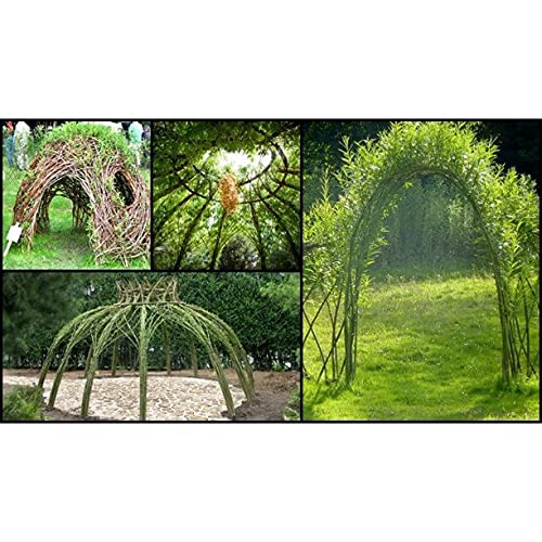 Grow a Willow Structure - 10 Willow Trees - Video Tutorial Included