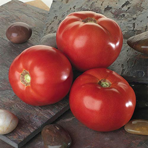 Fruit Garden Seed Kit | Watermelon, Cantaloupe, and Tomato | 50+ Seeds Each