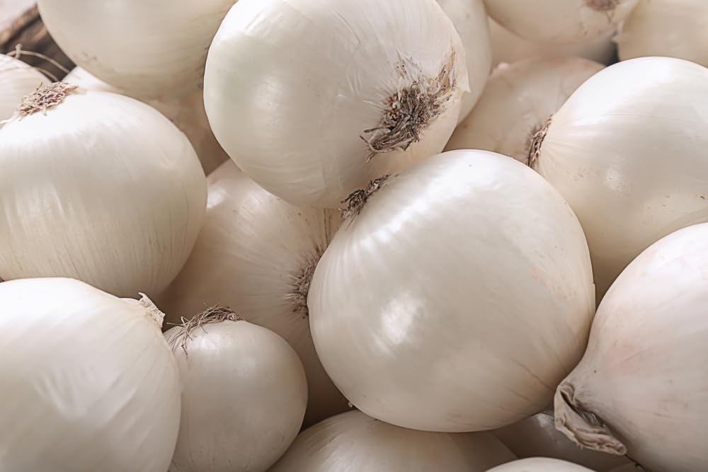 White Onion Sets for Planting - Easy to Grow Vegetables
