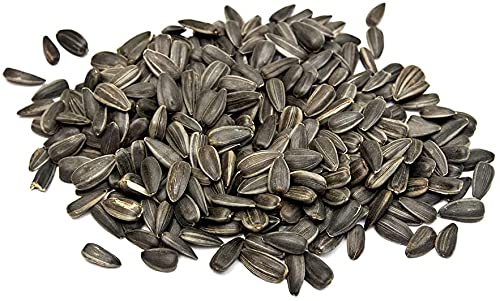 Black Oil Sunflower Seeds for Planting - 100+ Seeds - Made in USA - Attract Birds, Produce Sunflower Oil
