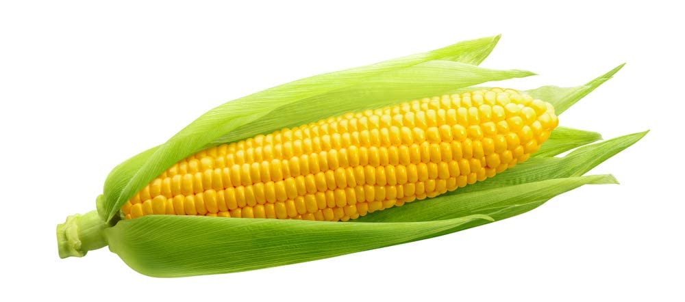 100+ Incredible Corn Seeds - Grow Tasty Sweet Corn - Big Yielder