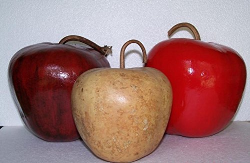 10 Speckled Apple Gourd Seeds, Dry it, paint it, and have fun with seasonal displays!